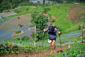 BIB: 
                            <button type="button" onclick="openModal(13379725)" class="btn btn-primary btn-sm float-right btn-popup" data-toggle="modal" data-target=".modal-high-quality">
                        <i class="fas fa-shopping-cart"></i> Add to Cart
                    </button>
                                            <button type="button" onclick="isThisMe(13379725, true)" class="btn btn-success btn-sm float-right btn-popup btn-isme hidden" data-toggle="tooltip" data-placement="bottom" title="นี่คือรูปของคุณใช่ไหม คลิกที่นี่เพื่อเอาเข้าอัลบั้ม">
                        <i class="fas fa-plus"></i> Add to album
                    </button>
                    <button type="button" onclick="isThisMe(13379725, false)" class="btn btn-warning btn-sm float-right btn-popup btn-isnotme hidden">
                        <i class="fas fa-ban"></i> Remove from album
                    </button>